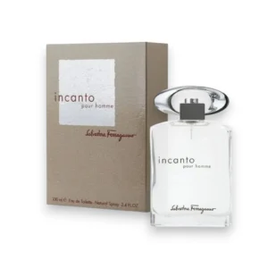 Perfume masculino fresco con notas cítricas, lavanda y vetiver, elegante y versátil.